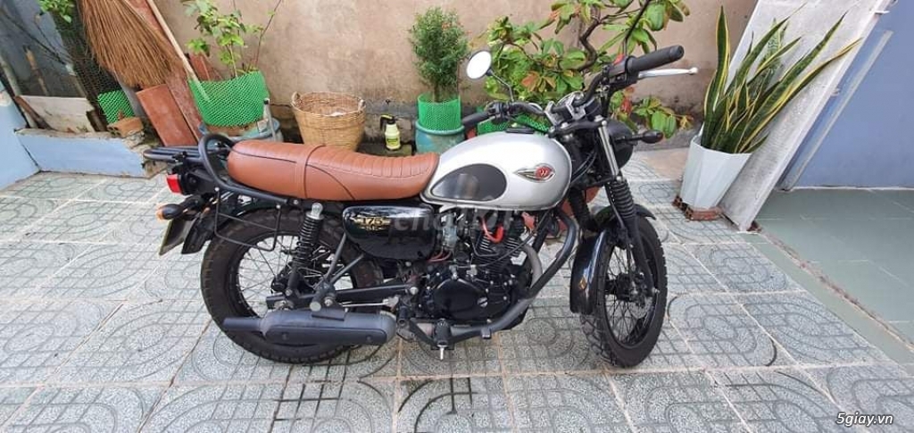 w175se 2020