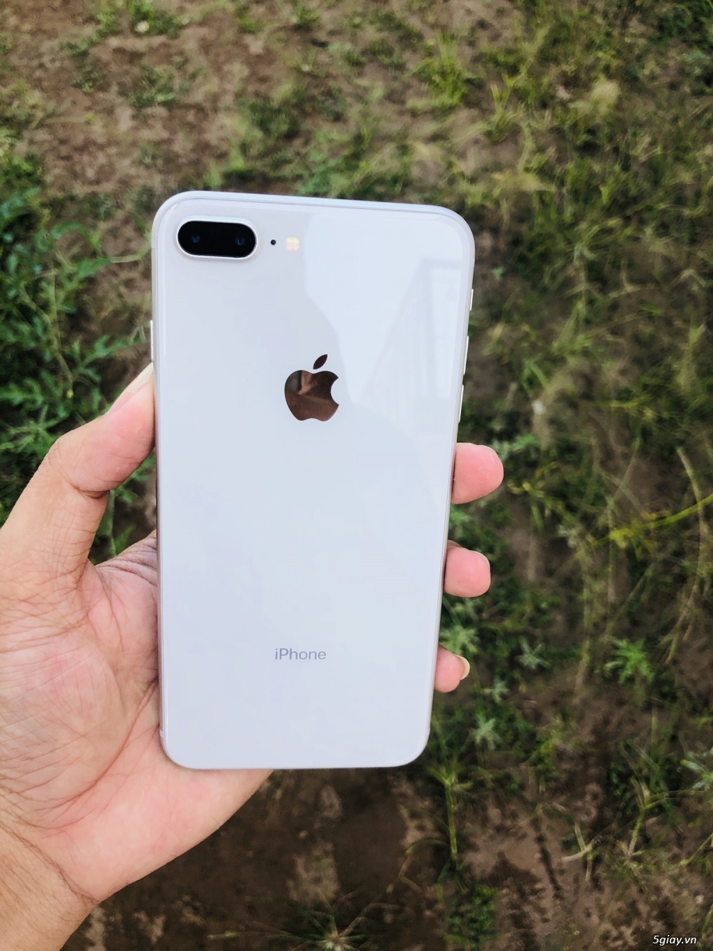 iphone 8plus 64G quốc tế - 4