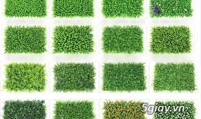 Thảm Cỏ Nhân Tạo Sân Vườn - 2