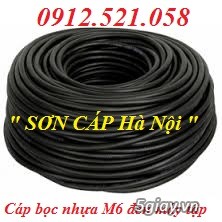 Phân phối Cáp thép bọc nhựa màu đỏ 4 ly, màu xanh 8 ly,màu vàng 8 ly.. - 8