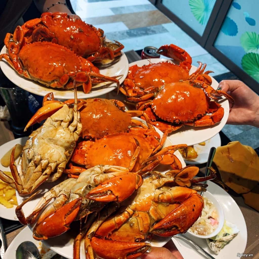 Buffet Hải Sản Đẳng Cấp Tại Hà Nội - 2