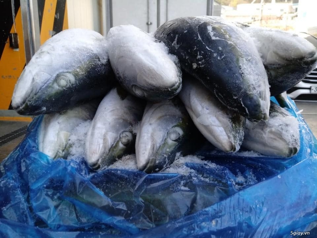 Tìm đại lý phân phối hải sản nhập khẩu