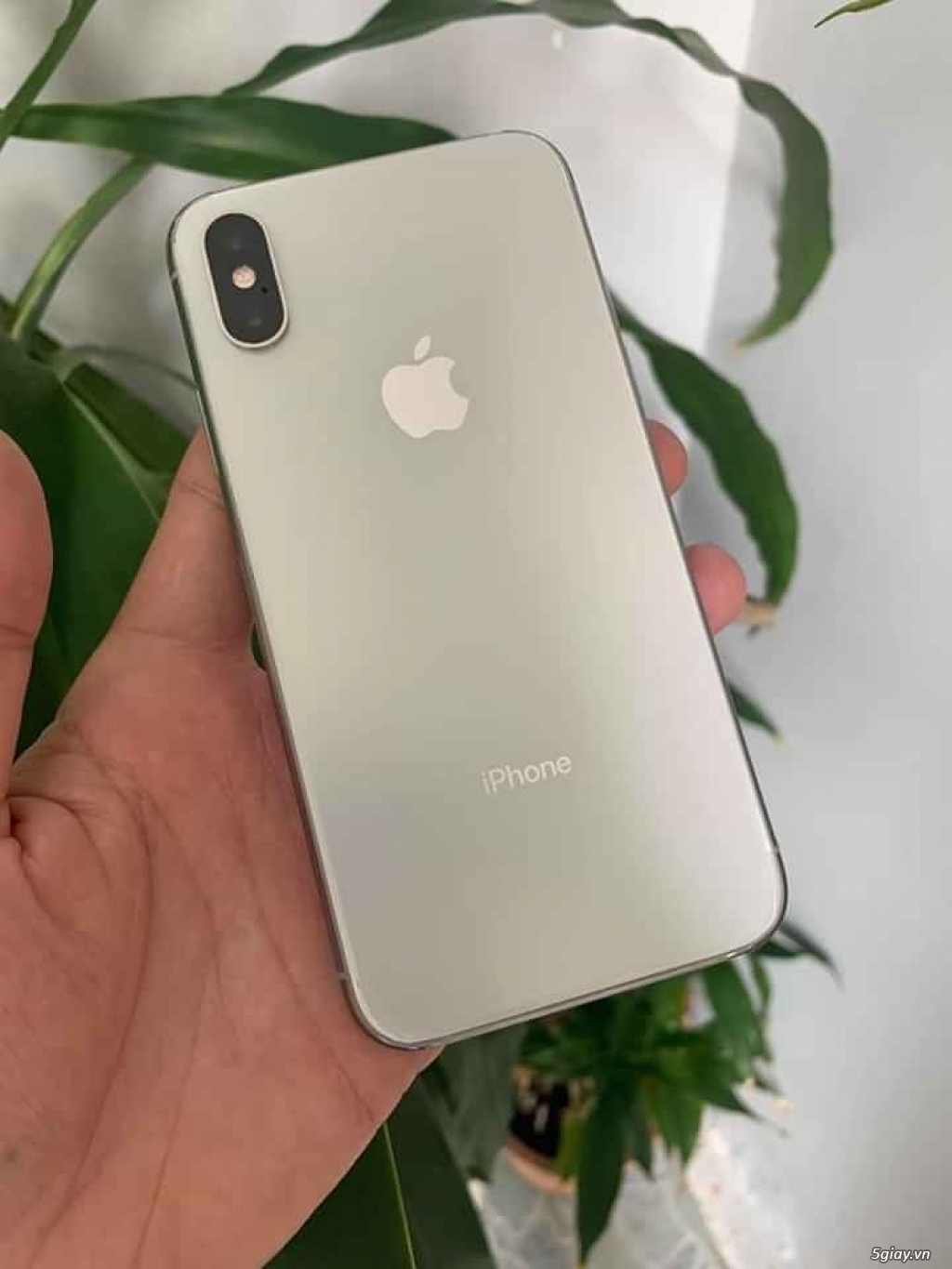 Iphone xs trắng 64gb QT - 3