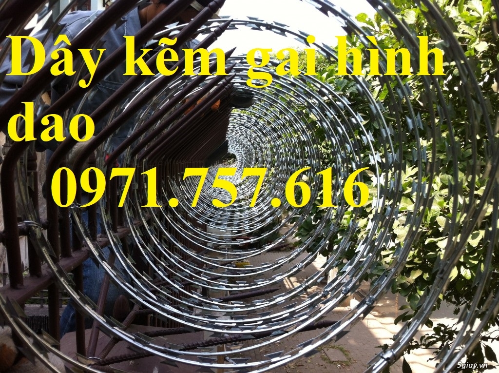 Dây thép gai ,dây kẽm gai chống trộm - 1