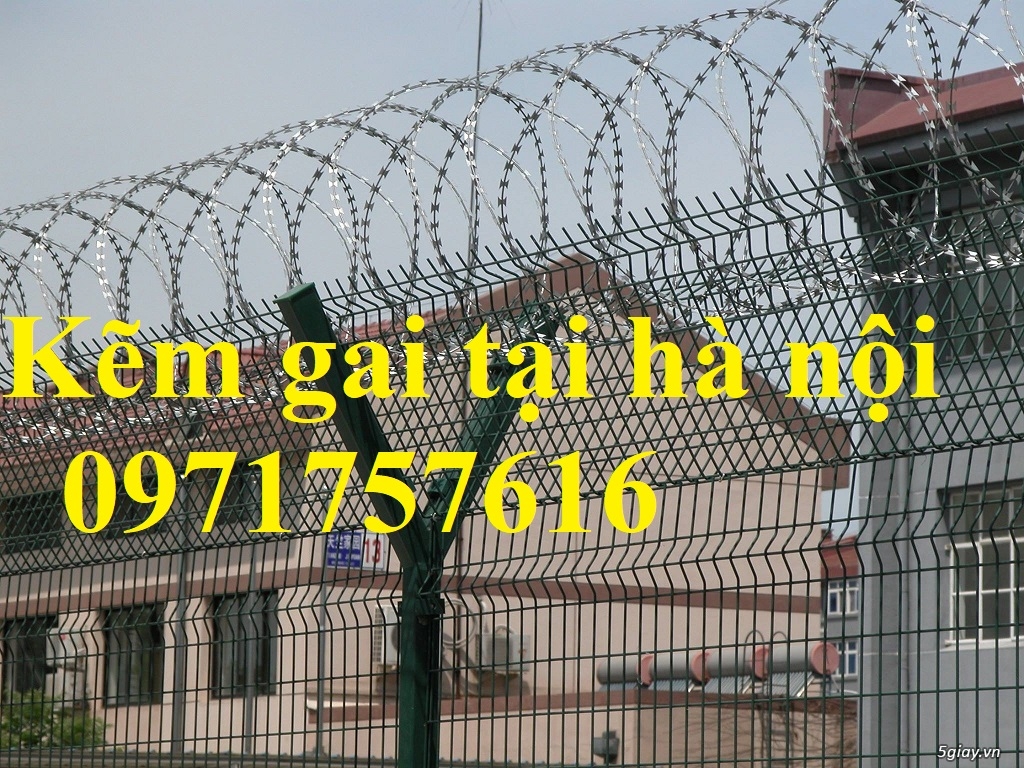 Dây thép gai ,dây kẽm gai chống trộm - 2