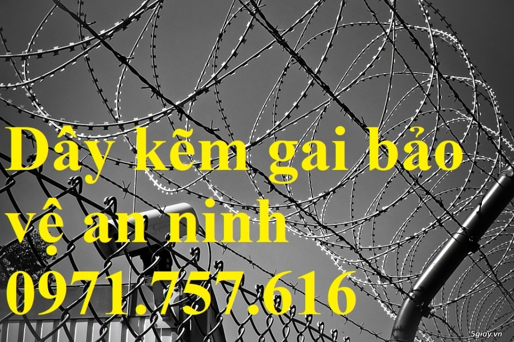 Dây thép gai ,dây kẽm gai chống trộm - 1