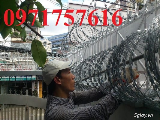 Dây thép gai ,dây kẽm gai chống trộm - 3