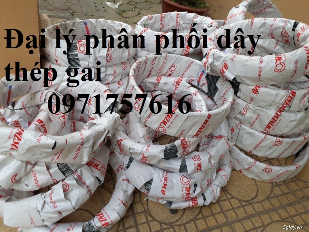 Dây thép gai ,dây kẽm gai chống trộm - 4