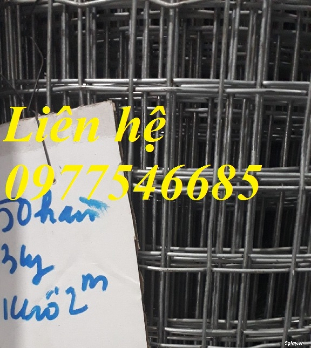 Lưới thép hàn mạ kẽm,lưới thép mạ kẽm giá tốt - 1