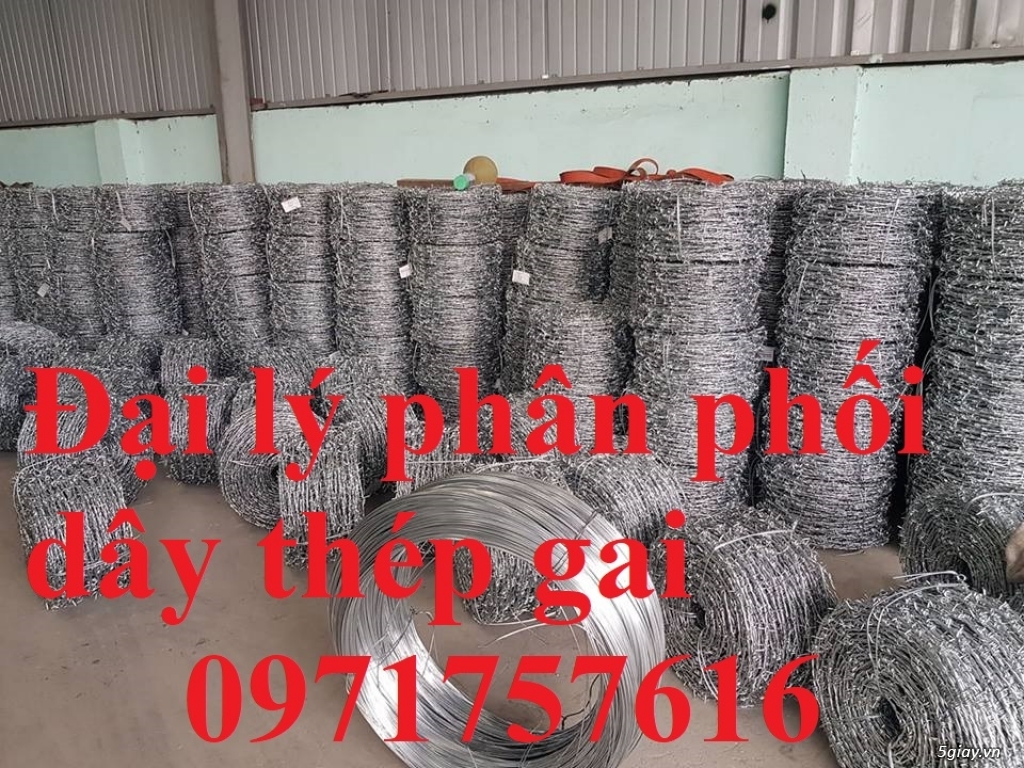 Sản xuất và bán dây kẽm gai hình dao - 5