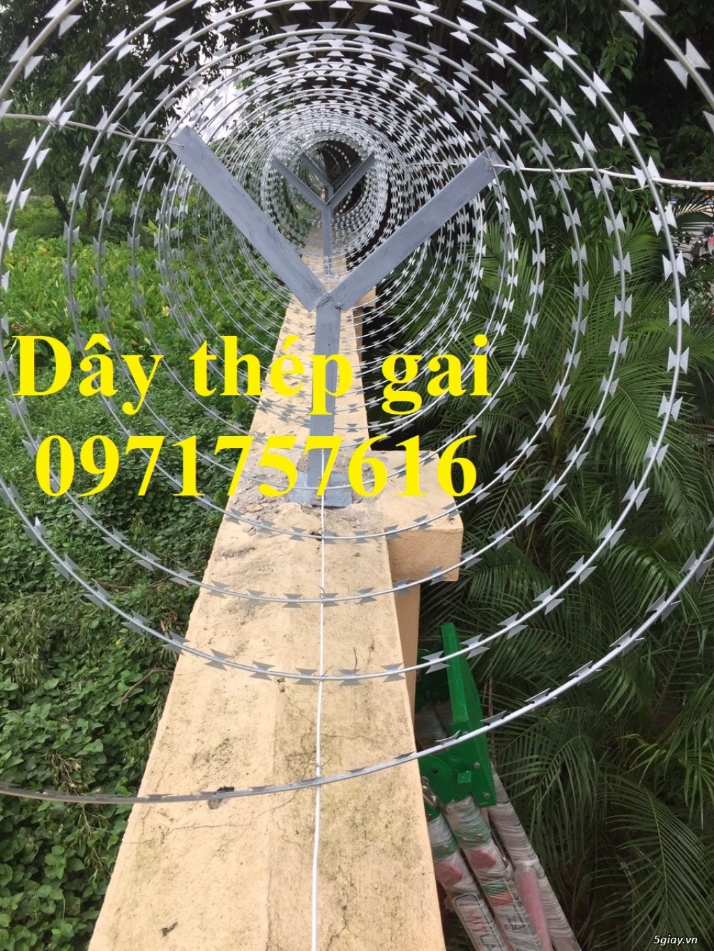 Sản xuất và bán dây kẽm gai hình dao - 3