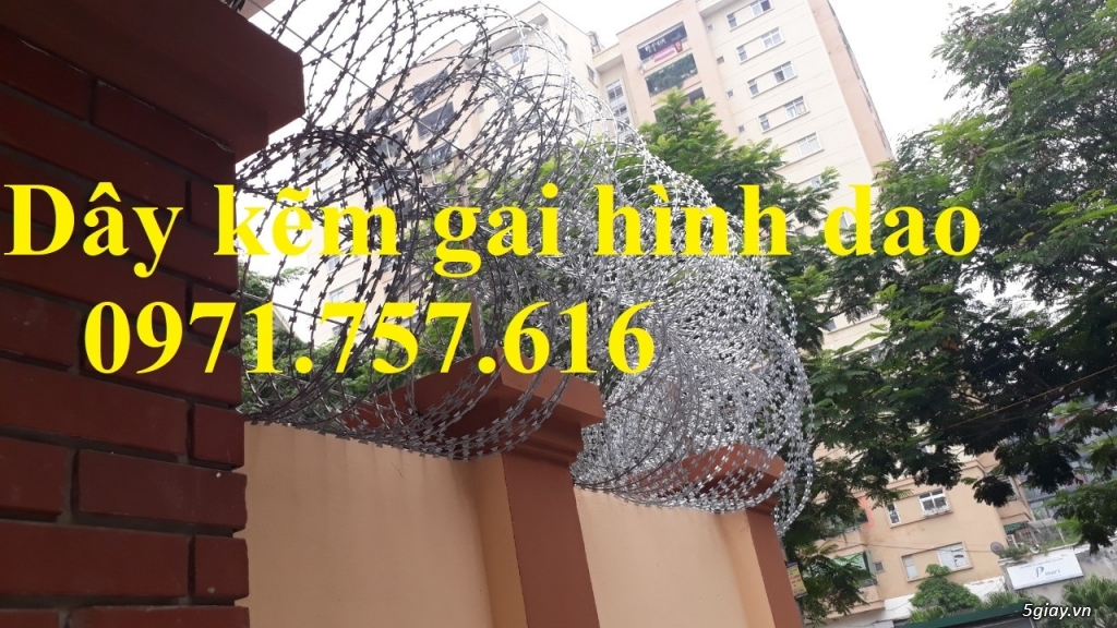 Sản xuất và bán dây kẽm gai hình dao - 4