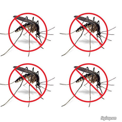 Dịch vụ phun muỗi nhanh chóng tại khu vực Hà Đông
