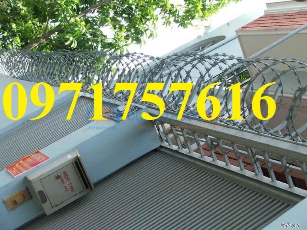 Phân phối sỉ lẻ dây kẽm gai hình dao,dây thép gai - 2