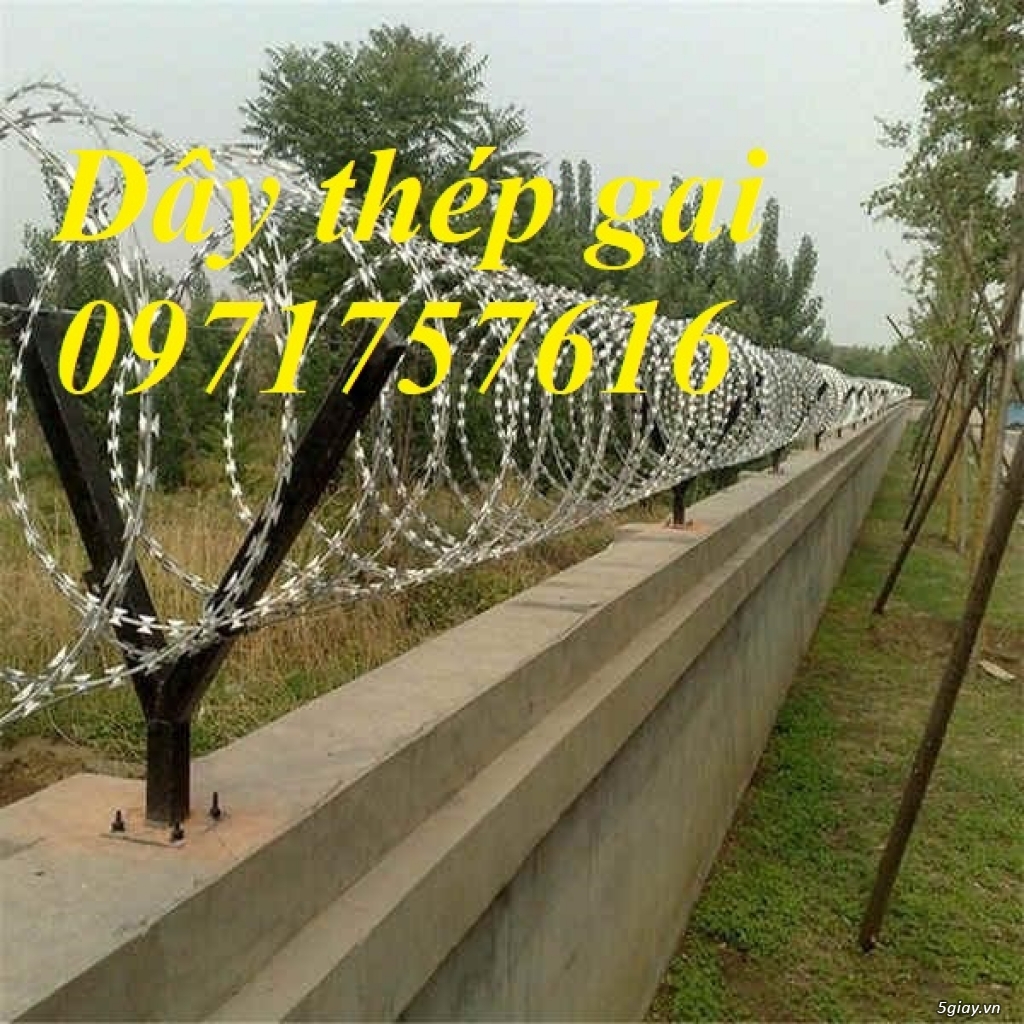 Phân phối sỉ lẻ dây kẽm gai hình dao,dây thép gai - 3
