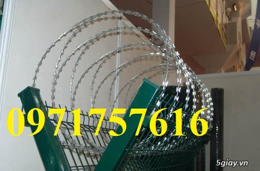 Phân phối sỉ lẻ dây kẽm gai hình dao,dây thép gai - 4
