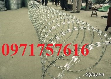 Phân phối sỉ lẻ dây kẽm gai hình dao,dây thép gai - 6