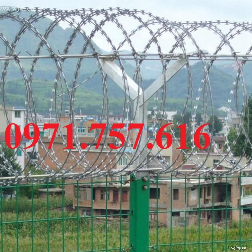 Phân phối sỉ lẻ dây kẽm gai hình dao,dây thép gai - 5