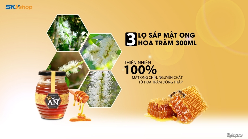 Mật Ong Hoa Tràm Honey An ( 04 Lọ 300ml ) + 02 Hũ Yến Thiên Hoàng - 2