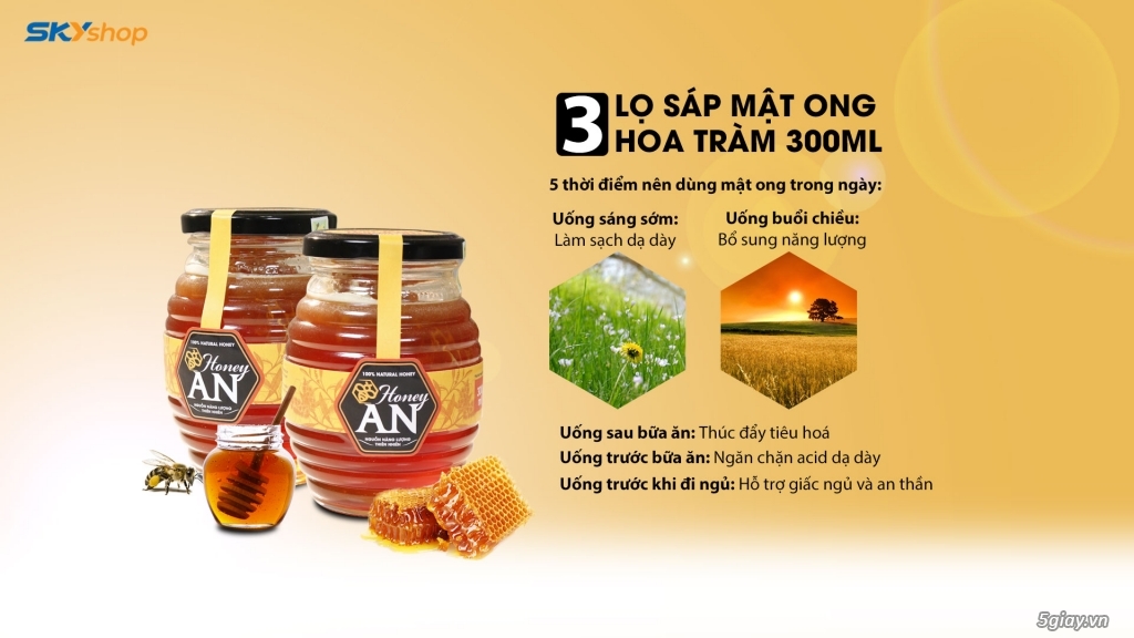 Mật Ong Hoa Tràm Honey An ( 04 Lọ 300ml ) + 02 Hũ Yến Thiên Hoàng - 3