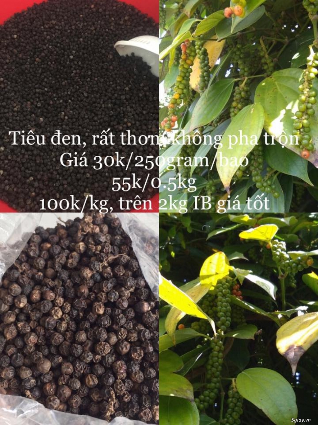Mì Tươi, Da Hoành Thánh, Các Loại Gia Vị làm Mì cực ngon và rẻ Mì Tươi, Da Hoành Thánh, Các Loại Gia Vị làm Mì cực ngon và rẻ