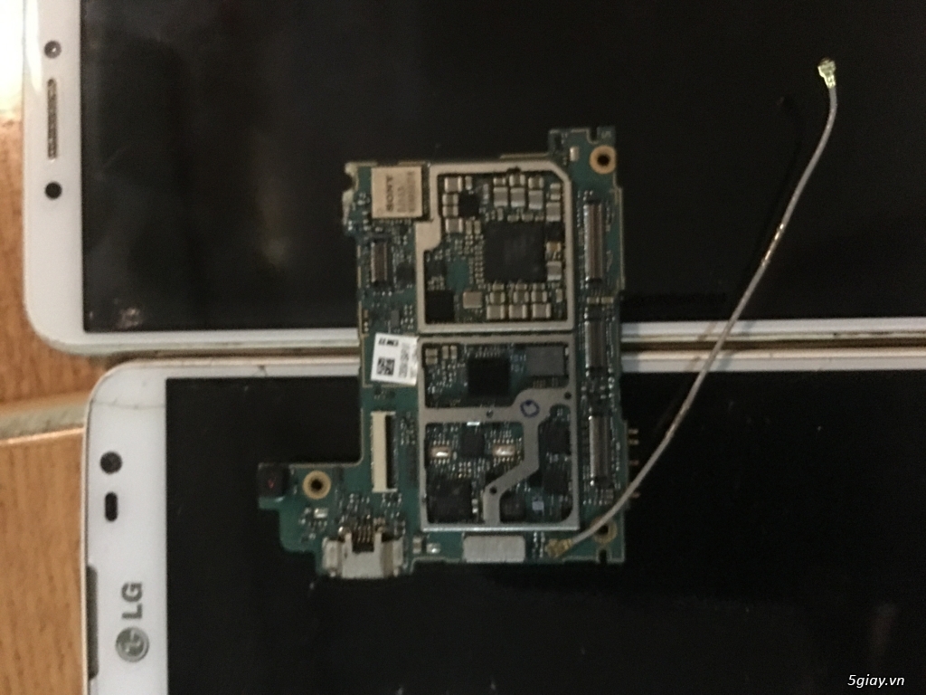 Xac dt cho ae ve lao dong tat ca deu sống - 2