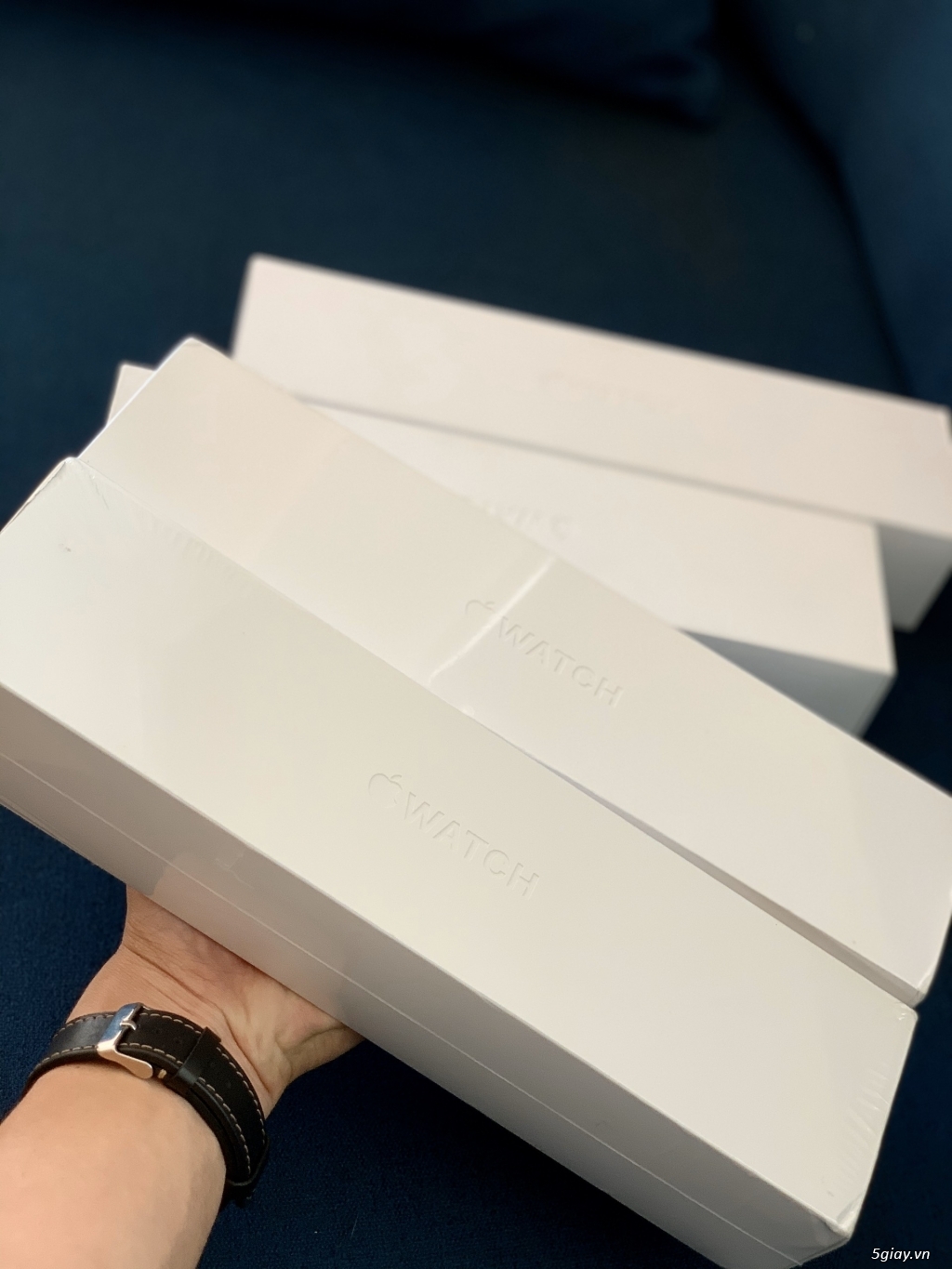 apple watch series 5 44mm giá
