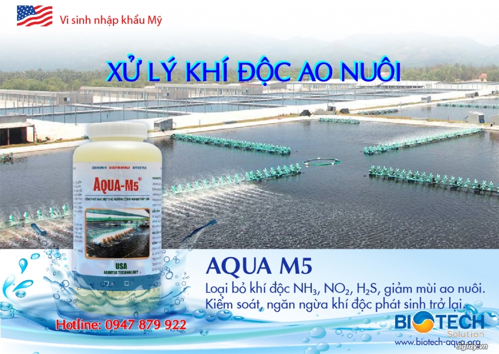 AQUA M5 - Vi sinh xử lý khí độc trong ao nuôi trồng thủy sản - 23