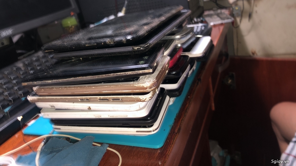 lô xác 30 cây cảm ứng