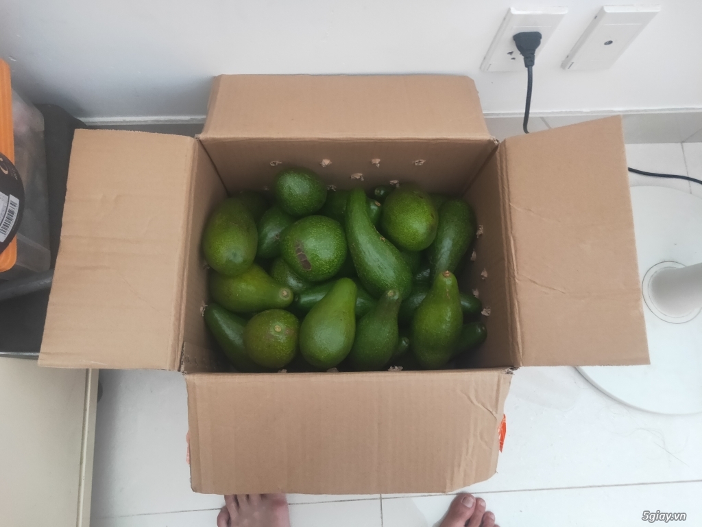 Bơ Đắc Lắc bao ngon - 2