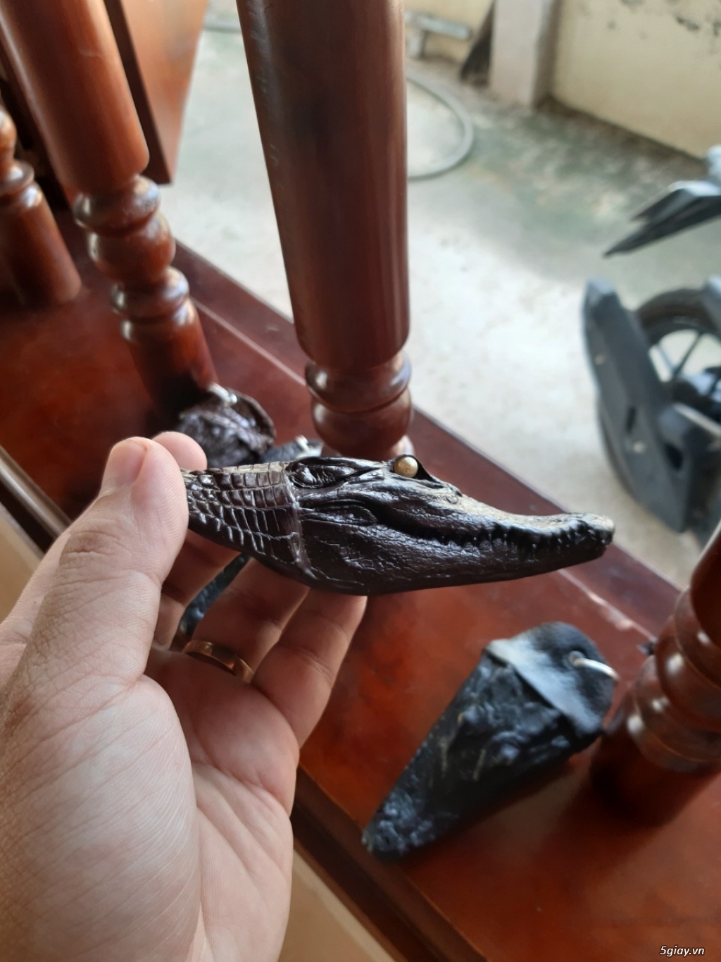 Bán Đồ da cá sấu (Crocodile Leather) Ví (bóp) dây nịt ... - 22