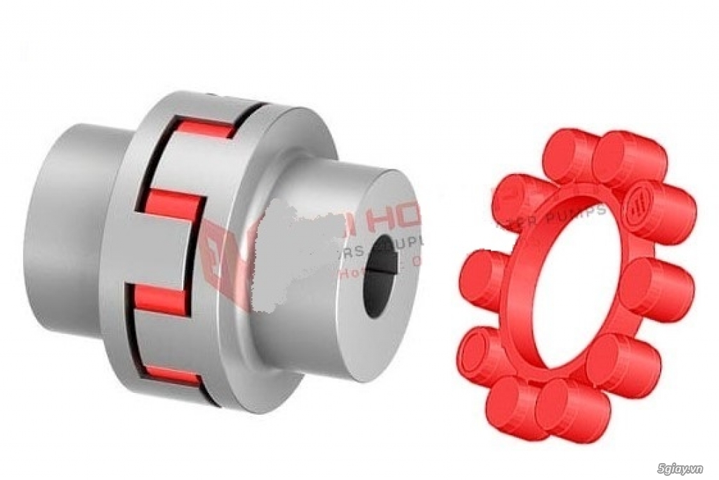 KHỚP NỐI TRỤC TSCHAN TNS S-ST