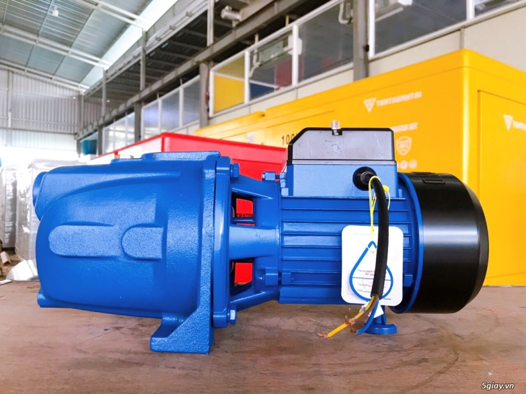 Motor Bơm Nước ADELINO Đầu Lợn | 5giay