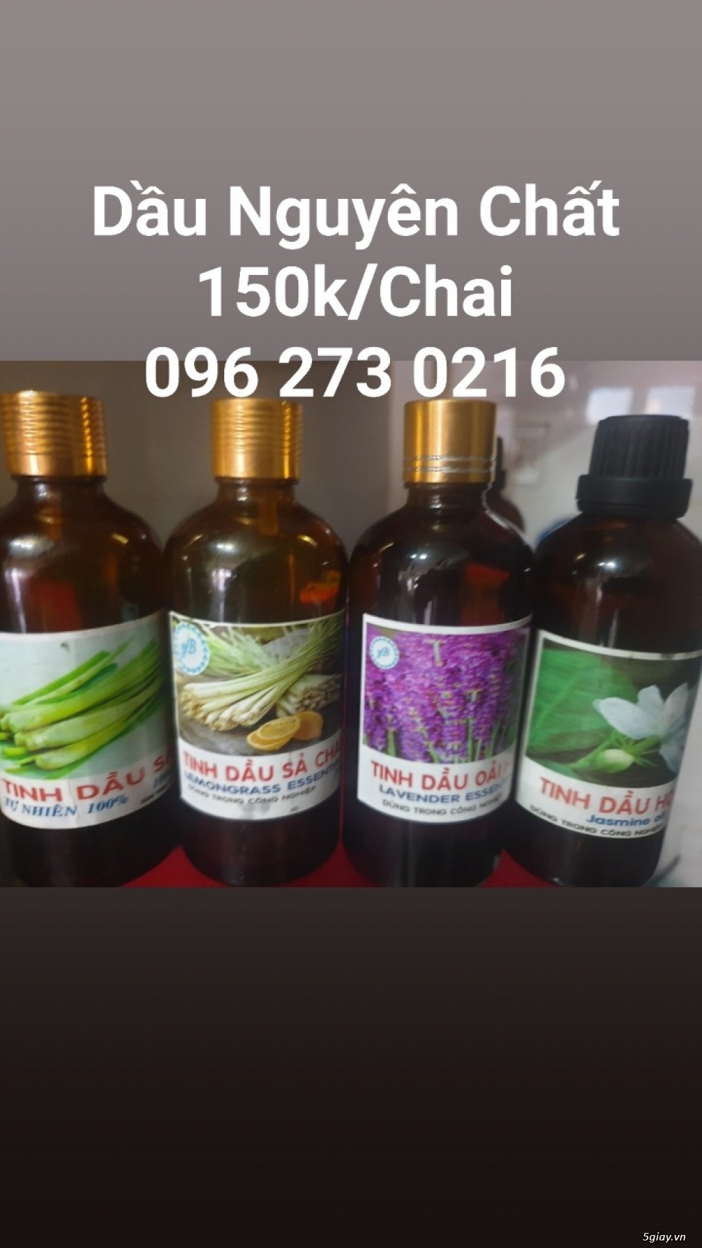 Dầu Massage Baby Oil giá Sỉ 70k/Lít hcm - 1