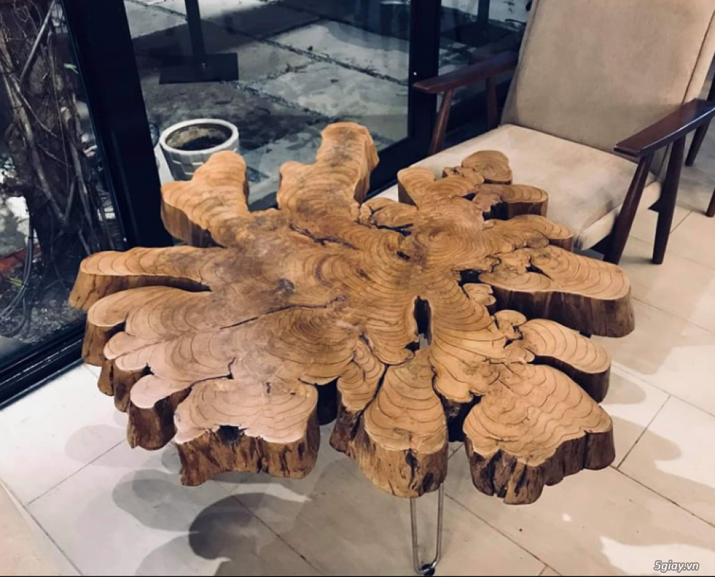 Eco Forest Home Decor 5giay