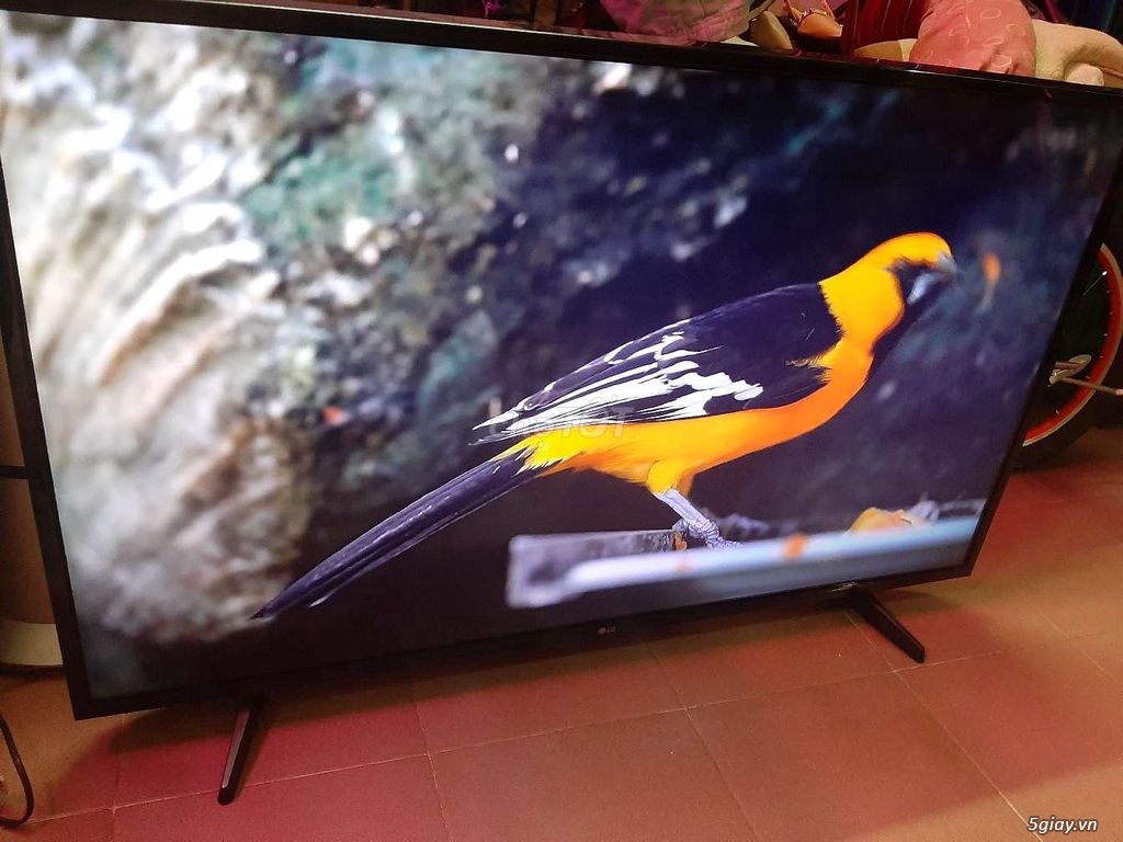 Bán TV Smart LG 49"UH610T 4K đẹp mới 98%-1