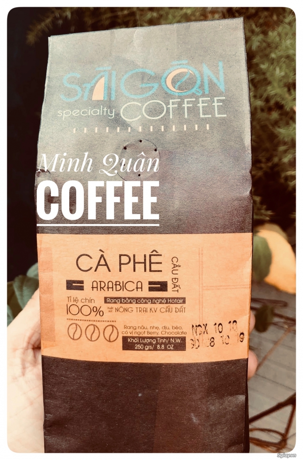 Nguyên hạt Cà phê pha máy-pha phin chỉ từ 85k/kg