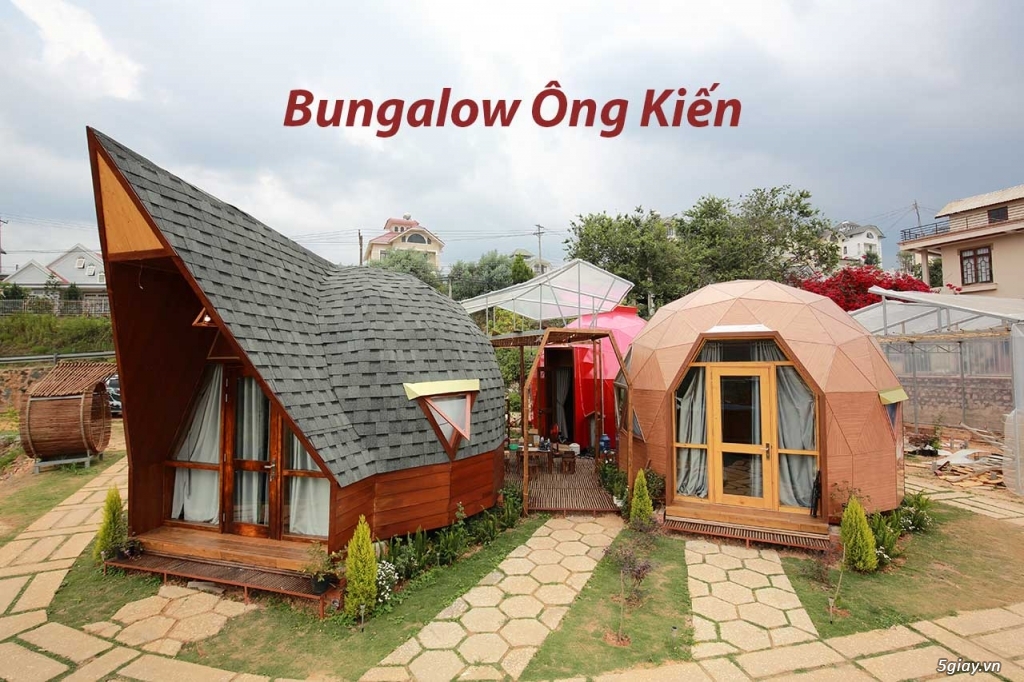 Giới thiệu Dome House Bungalow mới lạ ở Đà Lạt