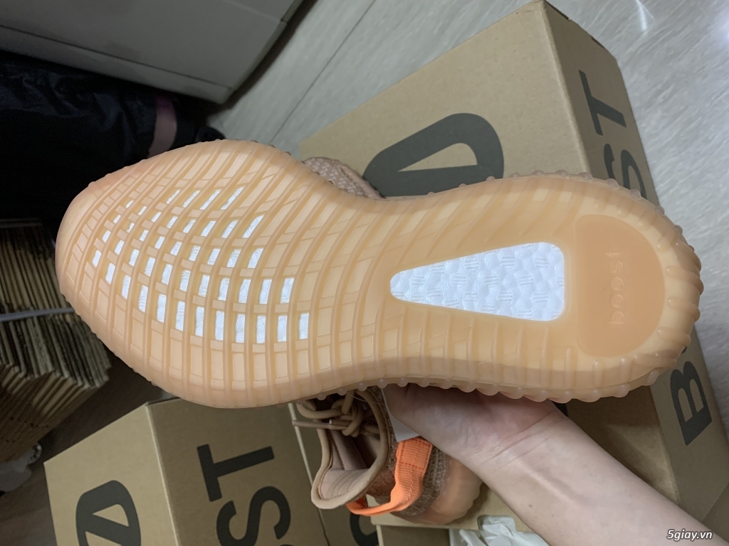 Yeezy Boost 350 V2 Clay ( new Real )