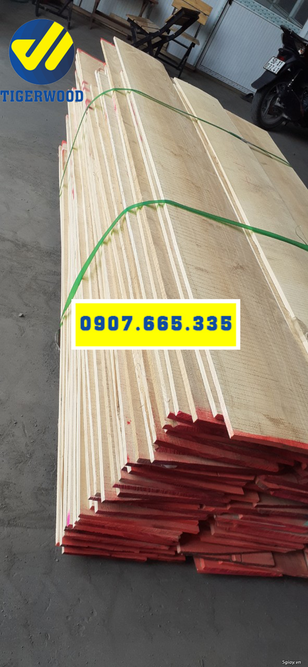 Bán Gỗ Tần Bì Tại TPHCM - 1