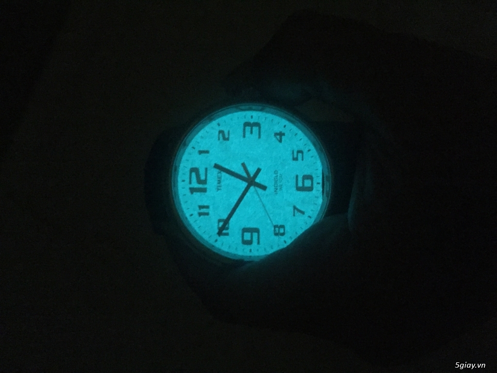 Đồng hồ Timex - 2