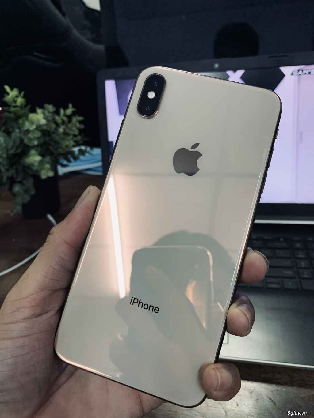 Xs Max 64Gb Gold QT LL/A