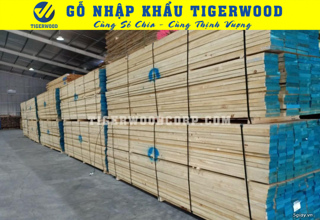 Bán gỗ ash Đà Nẵng - 2