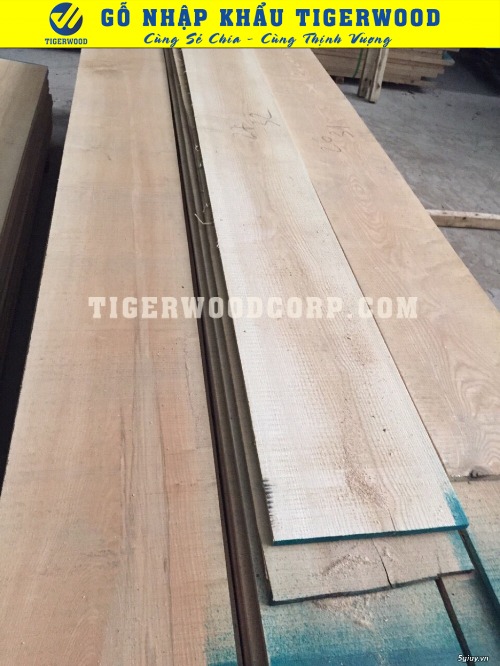 Bán gỗ sồi nga Hà Nội - 2