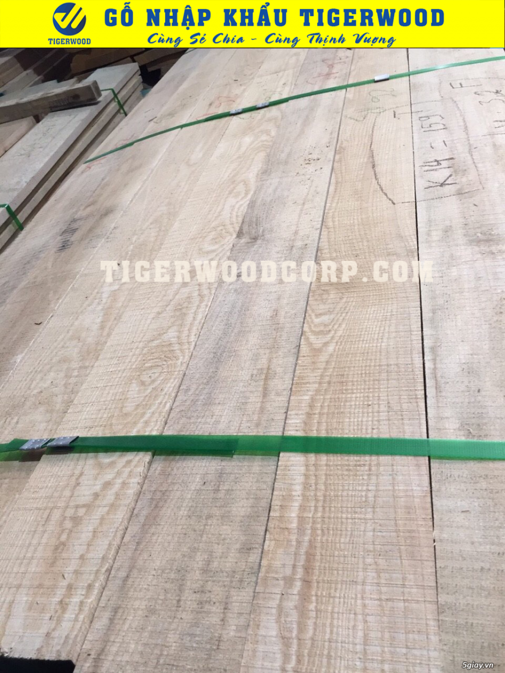 Bán gỗ ash Bình Định - 2