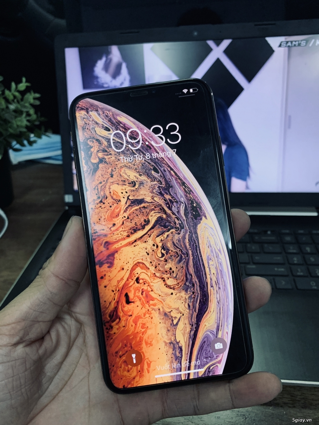 Xs Max 64Gb Gold QT LL/A - 3