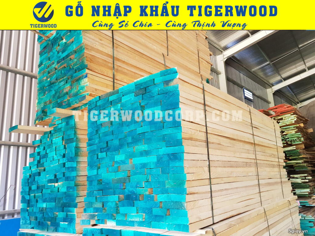 Bán gỗ ash Bình Định