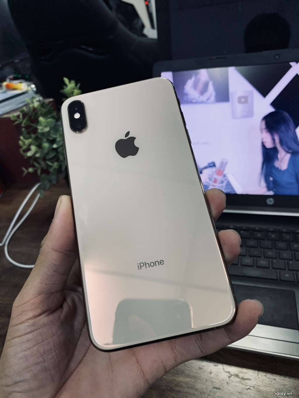 Xs Max 64Gb Gold QT LL/A - 2
