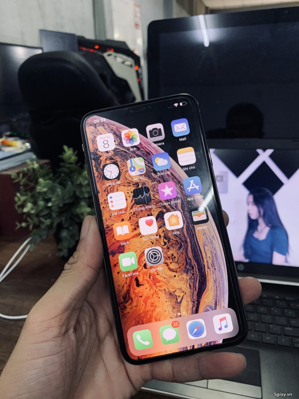 Xs Max 64Gb Gold QT LL/A - 4