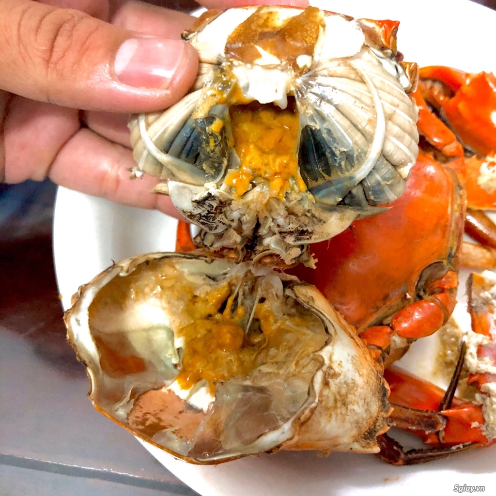 Cua Cà Mau không dây bao ăn - 2